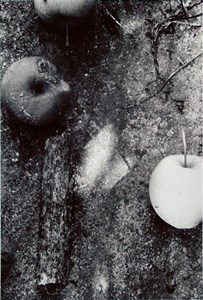 Image description is not available for 1999.047